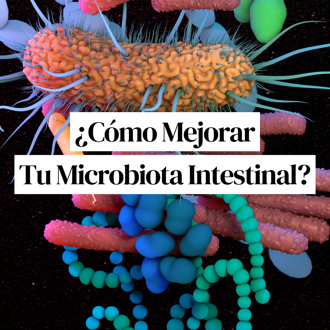 ¿Cómo mejorar la microbiota durante la menopausia? | Womanhood