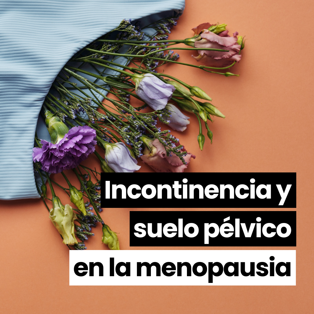 Incontinencia y suelo pélvico en menopausia