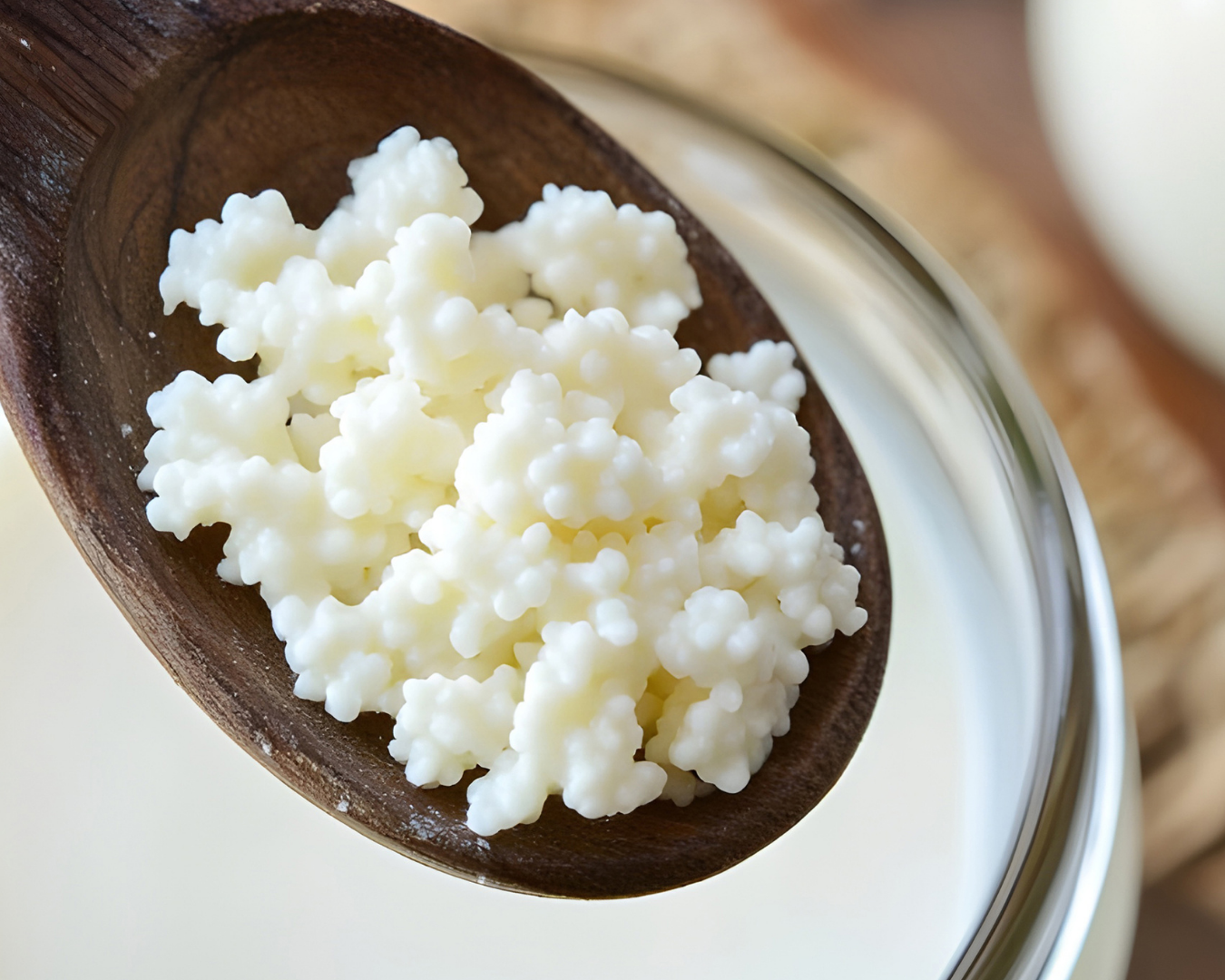 Kéfir y fermentados