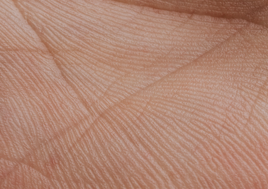 Detalle de la textura de la piel