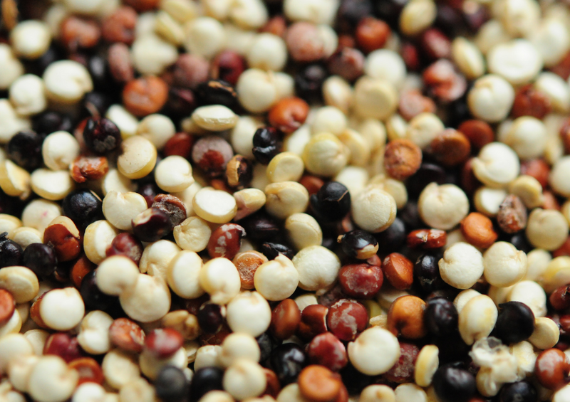Quinoa de tres colores