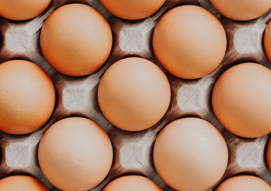 Huevos en su cartón