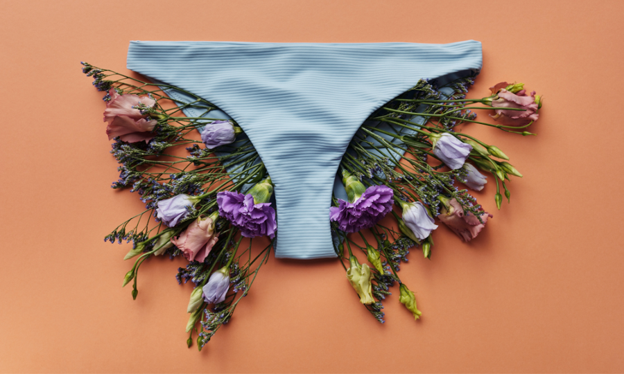 Braguitas azules con flores secas sobre fondo naranja