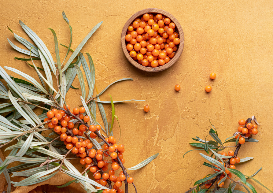 Ramas de espino amarillo con sus bayas naranjas y un cuenco lleno de bayas