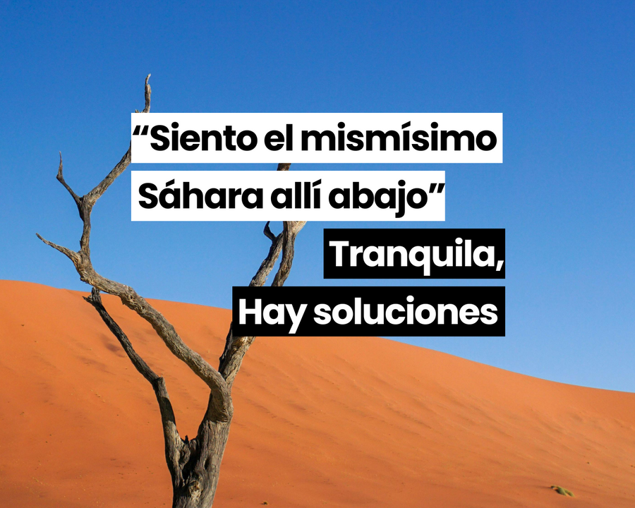 Árbol seco en un desierto con el rótulo «Siento el mismísimo Sáhara allí abajo. Tranquila, hay soluciones»