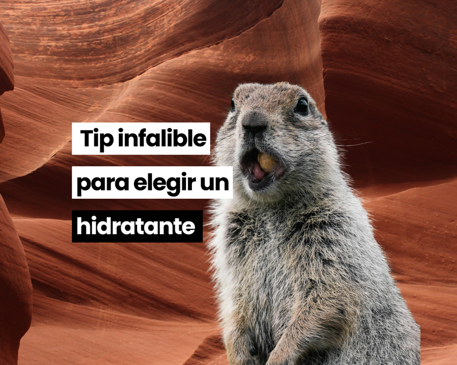 Marmota junto a una roca con el rótulo «Tip infalible para elegir un hidratante»
