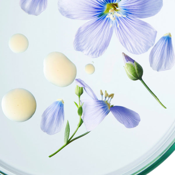 Flor de genciana azul en una placa de laboratorio