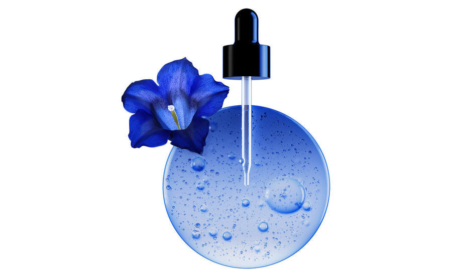 Gota de sérum azul con una pipeta y una flor de genciana