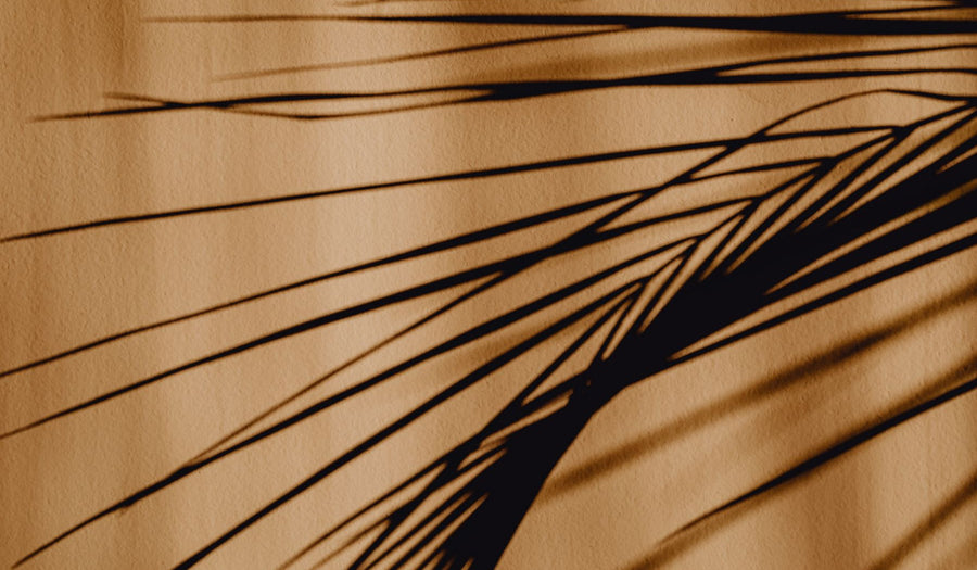 Sombra de una hoja de palmera sobre una tela clara