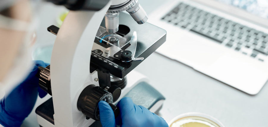 Microscopio y placa de laboratorio